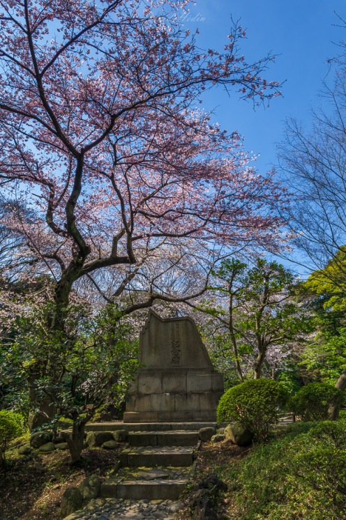 Jardin Koishikawa Kôrakuen